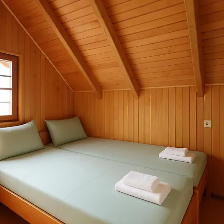 Felix With Spectacular Pool In Oasis Opatija