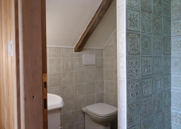 Felix With Spectacular Pool In Oasis Villa Opatija